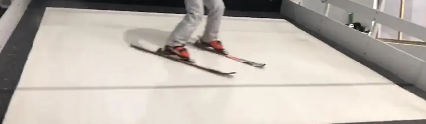 Skiing Grass For Indoor Training